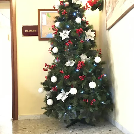 Margherita Hotel