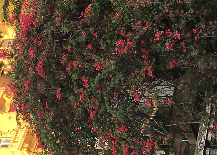 Margherita Hotel Neapel