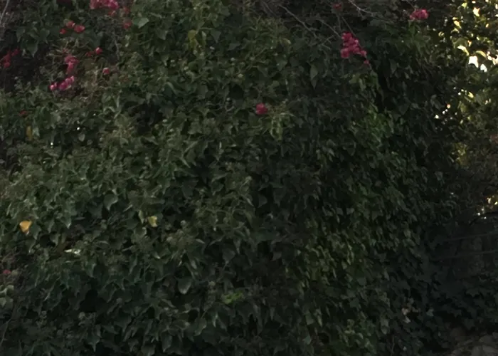 Margherita Hotel Neapel