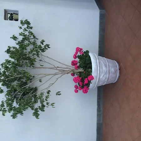 Hotel Margherita Napels